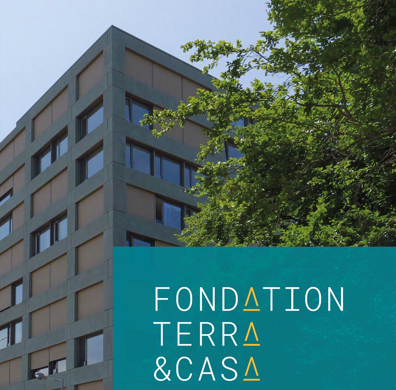 Illustration issue du projet — Fondation Terra & Casa
